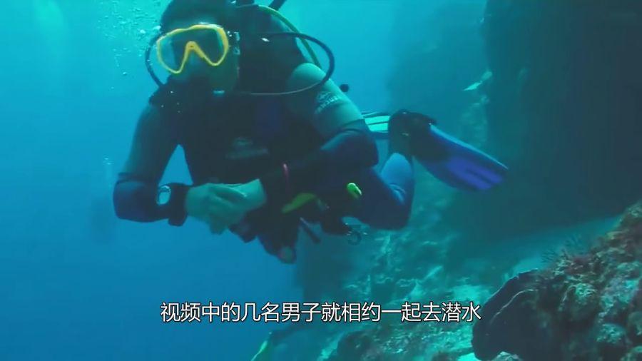幽幽梦游记